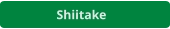 Shiitake